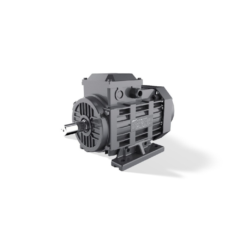 GESHI FTYP LSPM Motor 0.55-15kW IE4 लाइन स्टार्ट IP55