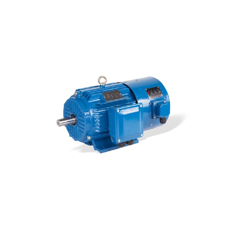GESHI YVF2 VFD इन्वर्टर ड्यूटी मोटर 0.55-315kW IP54